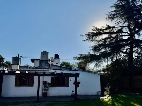 Mussi 8700