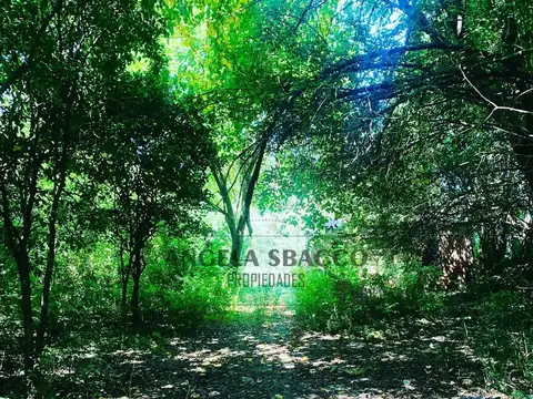 Terreno en Venta 50  mts Frente