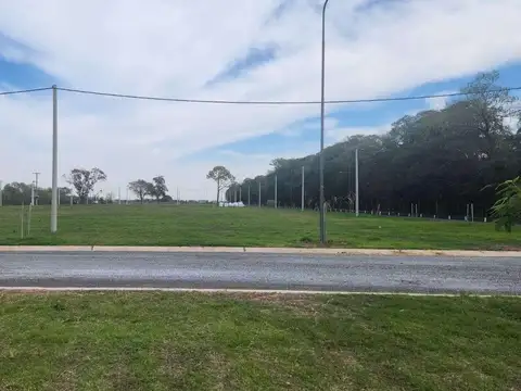 Alvarez