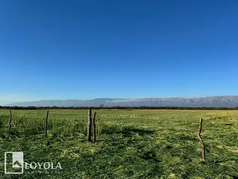 Campo en Venta en La Ramada, San Javier