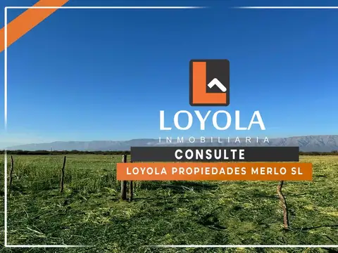 65 Has  Ruta 148 Córdoba limite San Luis Financiación