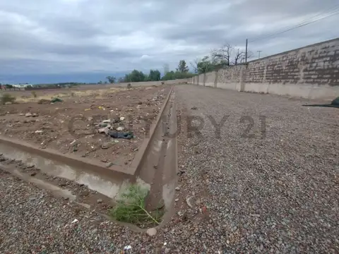 Elpidio González y 9 de Julio , Piso 0