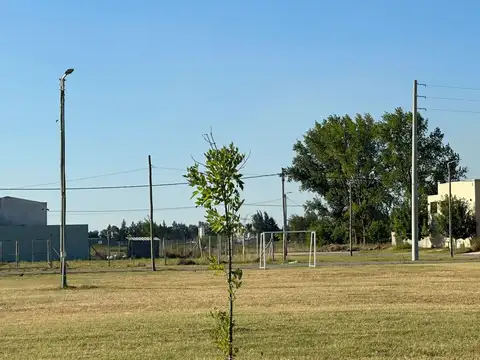 Terreno en Venta en Alejandro Petion, USD 50.000