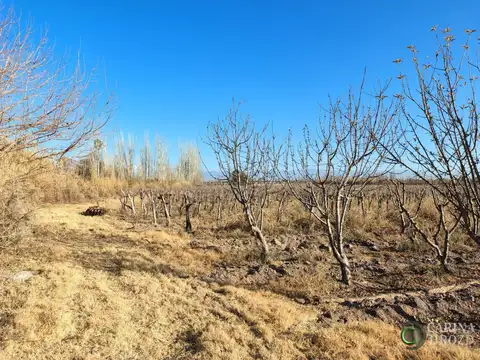 Fray Luis Beltran sin 100