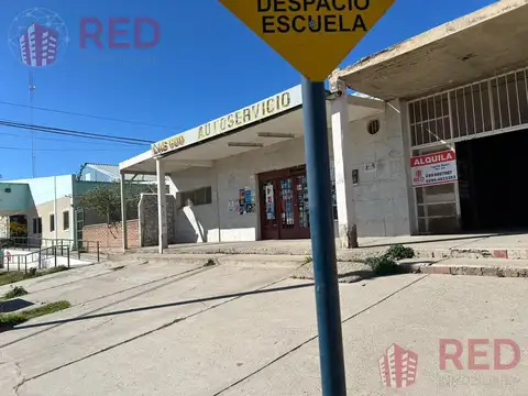 Calle 4 y 6 Parque Industrial Neuquén