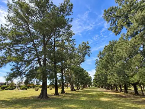 Venta Terreno, Barrio El Molino, Roldán, Gas natural, USD 39