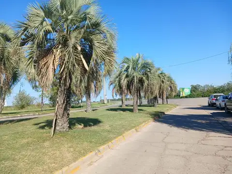 Terreno en Venta 12  mts Frente