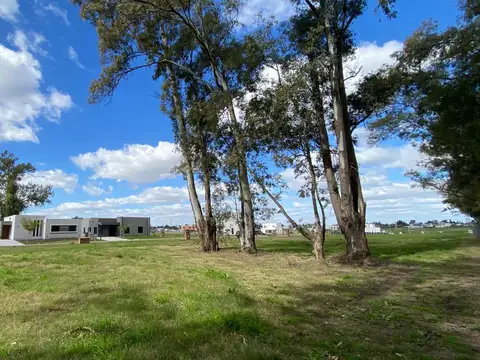 Terreno en Venta en Pilar Del Este - Santa Sofia, USD 29.000