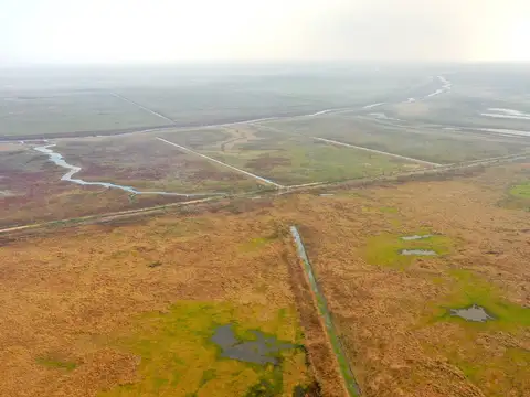 6864 Has. Campo de Isla en Baradero