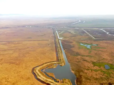 Campo en Venta Ganadero