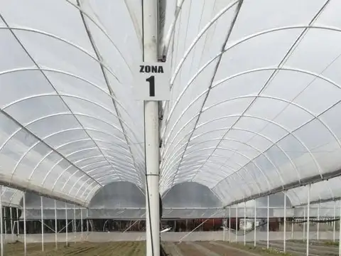 Chacra, OPORTUNIDAD ÚNICA Emprendimiento  productivo comercial