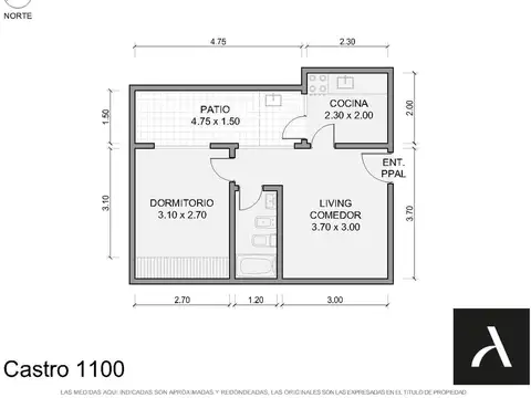 Castro 1100