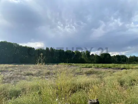 VENTA DE LOTE EN USPALLATA- MENDOZA. ID: 321147