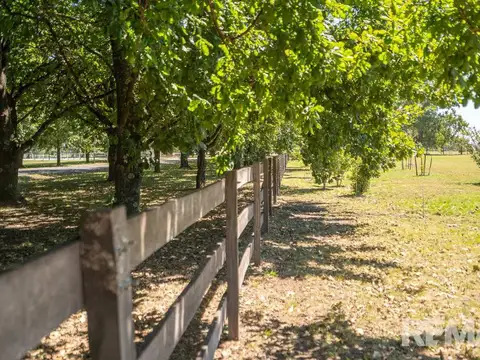 Terreno en Venta de 10316,0 m2