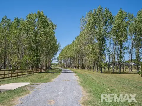 Ruta Provincial 193 km 18
