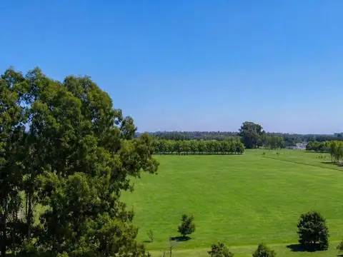 VENTA CHACRA 1 Ha FORESTADA CANCHA DE POLO PERMUTA