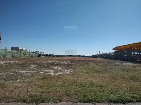 Area 8 Ntra. Sra. de Torreciudad s/n