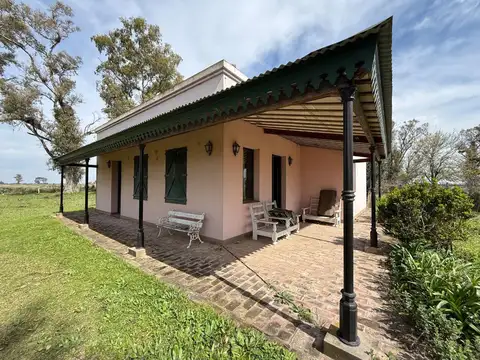 Venta Campo Ganadero Felicia-Nuevo Torino-Santa Fe