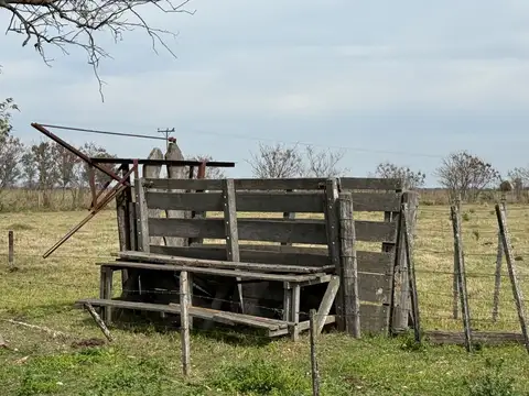 Venta Campo Ganadero Felicia-Nuevo Torino-Santa Fe