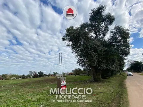 Terreno en Venta 36  mts Fondo