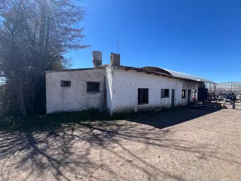 Ruta Provincial 92