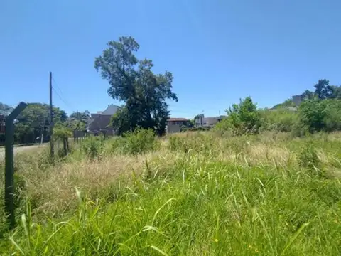 VENTA LOTE PALOMAR 