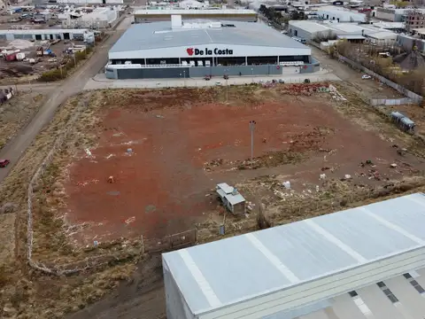 Luis Gallino  al 400