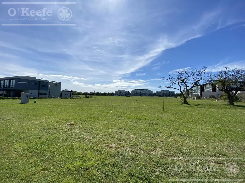 Lote Central al Polo - Greenville Polo & Resort