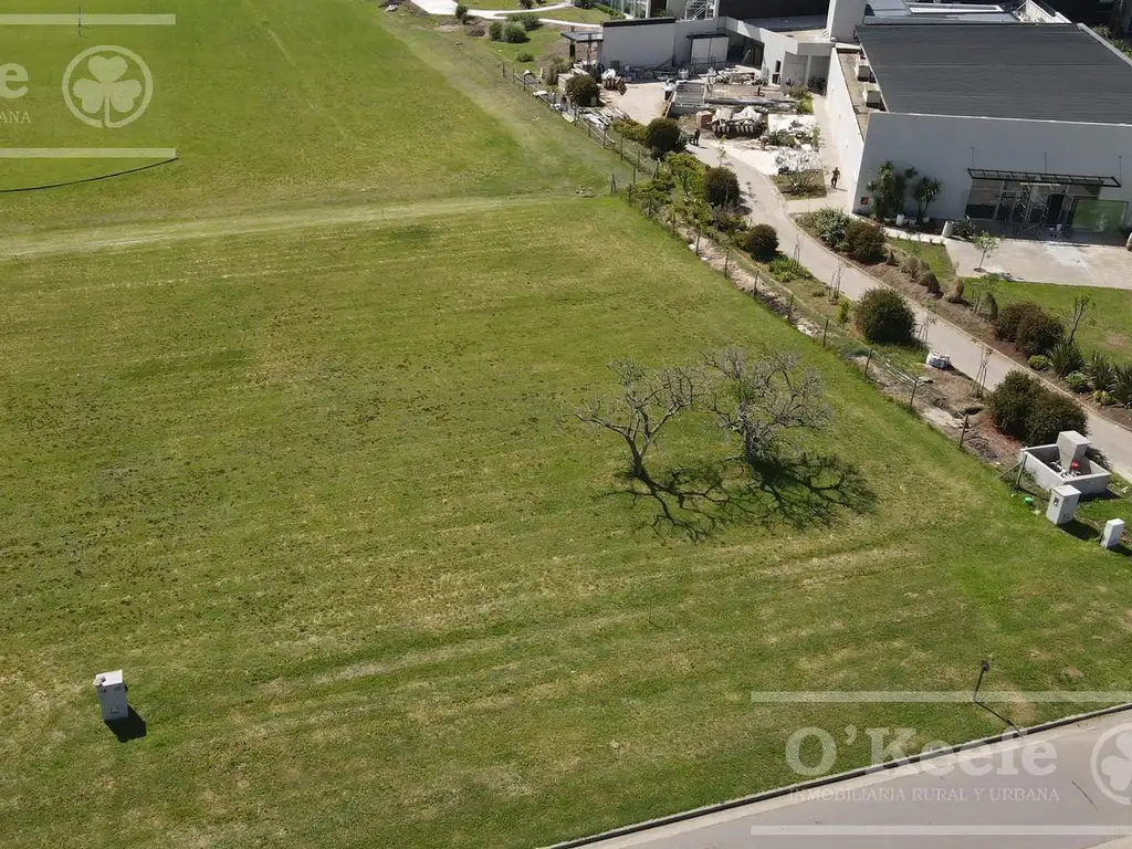 Terreno - 1.000  m² Total | 1.000  m² Construible
