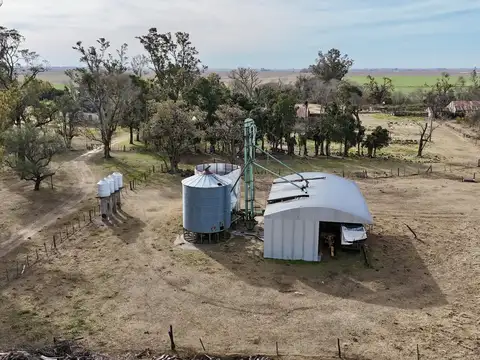Alquiler de instalaciones para FEEDLOT en Cruz Alta, Cordoba