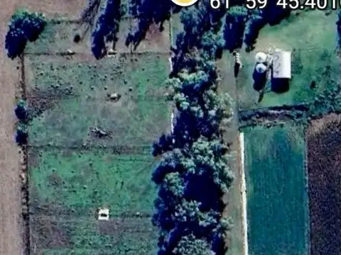 Alquiler de instalaciones para FEEDLOT en Cruz Alta, Cordoba