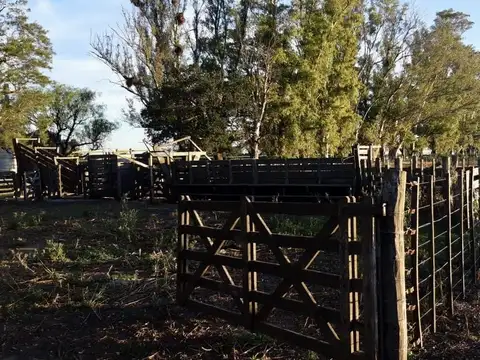 Alquiler INSTALACIONES LISTAS PARA FEEDLOT