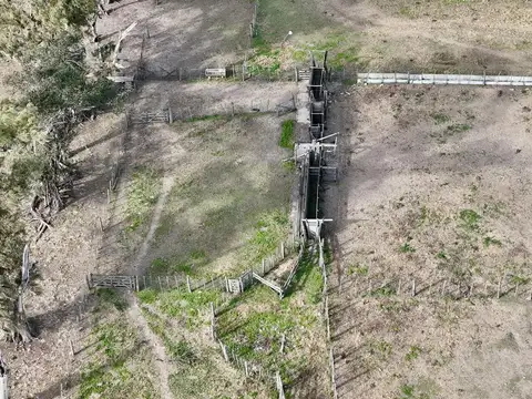 Alquiler INSTALACIONES LISTAS PARA FEEDLOT