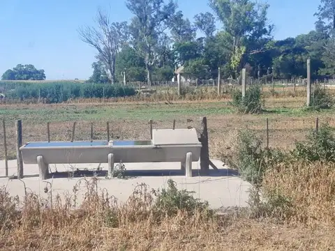 Alquiler INSTALACIONES LISTAS PARA FEEDLOT