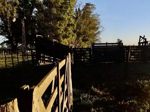Alquiler INSTALACIONES LISTAS PARA FEEDLOT