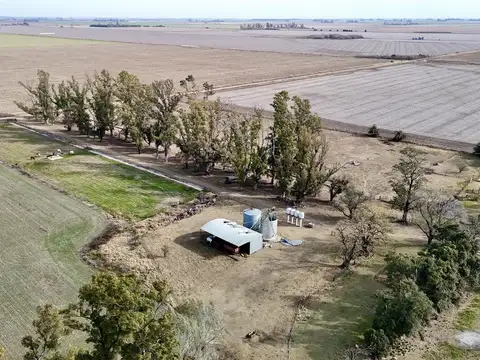 Alquiler INSTALACIONES LISTAS PARA FEEDLOT