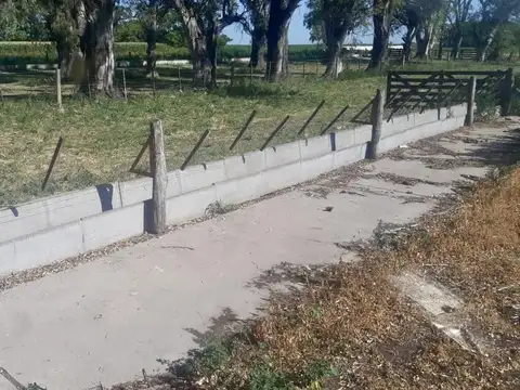 Alquiler de instalaciones para FEEDLOT en Cruz Alta, Cordoba