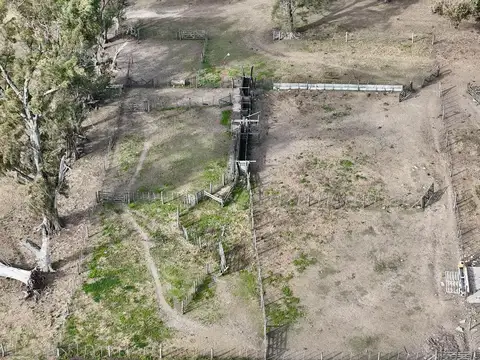 Alquiler de instalaciones para FEEDLOT en Cruz Alta, Cordoba