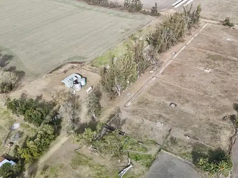 Alquiler de instalaciones para FEEDLOT en Cruz Alta, Cordoba