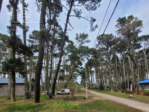 Terreno en Venta 57  mts Fondo