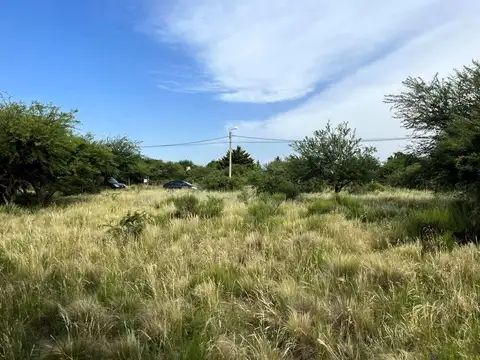 Terreno Pepitero 4563 e/ Siete Colores y Chingolo 