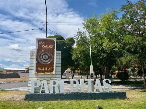 Terreno en Venta en Pareditas, USD 20.000