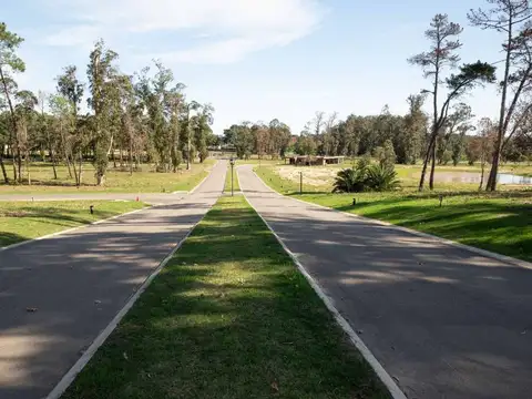 Avenida Aparicio Saravia 100