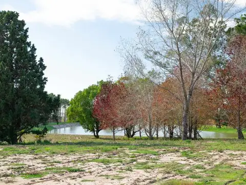 Terreno en Venta de 1059,0 m2