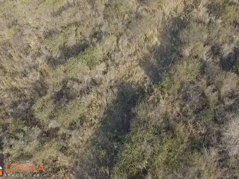Terreno en Venta de 18268,0 m2
