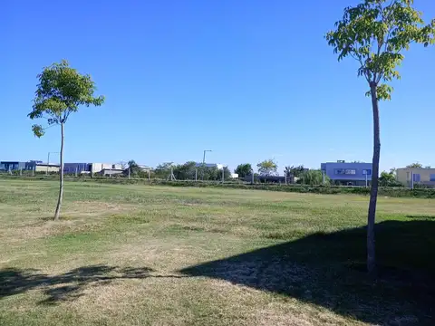 Terreno en Venta 31  mts Fondo