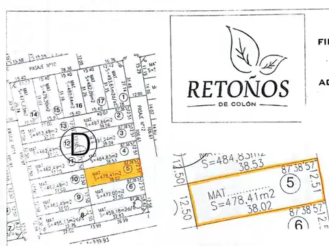RETOÑOS DE COLON ( LA SILLETA)