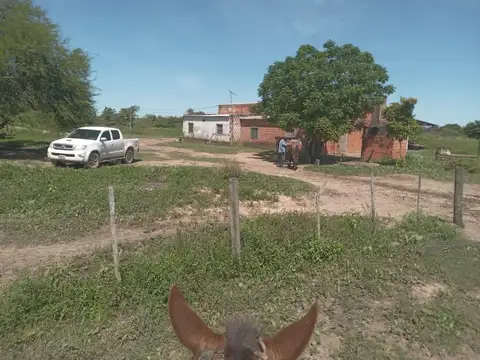 Oportunidad- Campo Ganadero armado sobre ruta en Formosa-