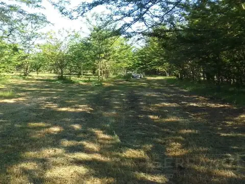 Terreno en Venta de 5200,0 m2