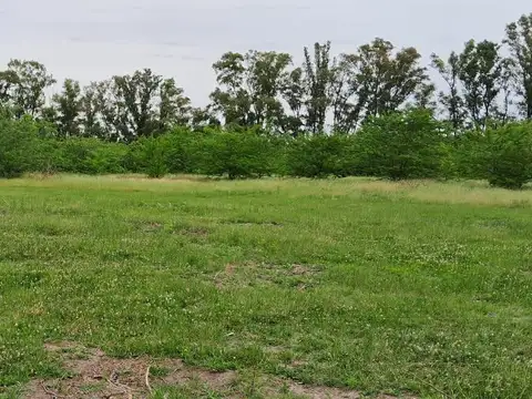 SDA. Lote de  terreno, Ruta 6 km 169, Etchegoyen, Exaltacion de la Cruz